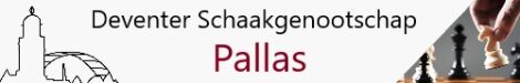 Website van DSG Pallas