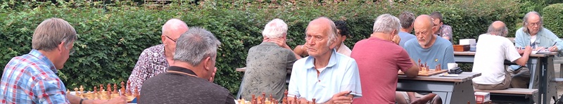 Deze afbeelding heeft een leeg alt-attribuut; de bestandsnaam is zomer2025-05-1.jpg