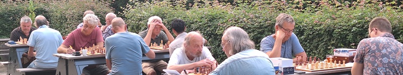 Deze afbeelding heeft een leeg alt-attribuut; de bestandsnaam is zomer2025-06.jpg